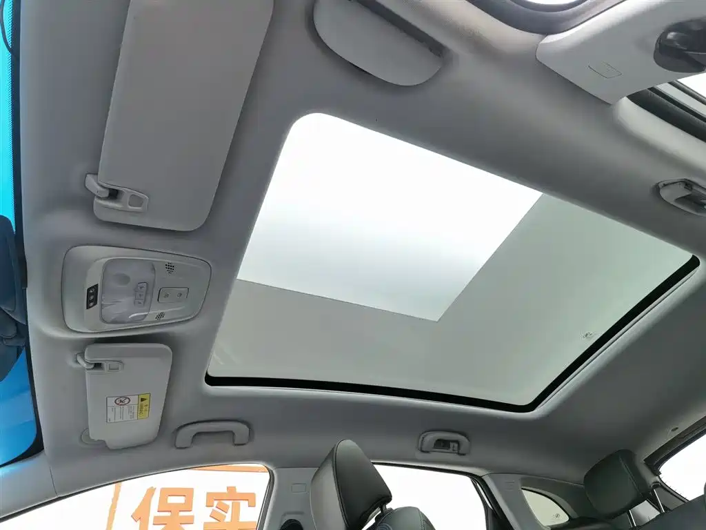 BUICK SLIGHTLY BLUE 6