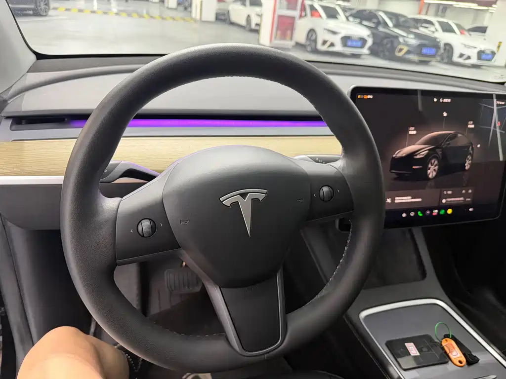 Tesla Model Y — миниатюра 5