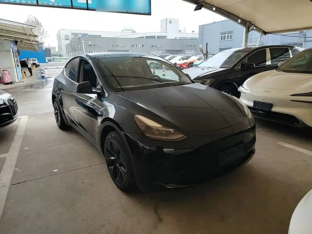 Tesla Model Y — миниатюра 4