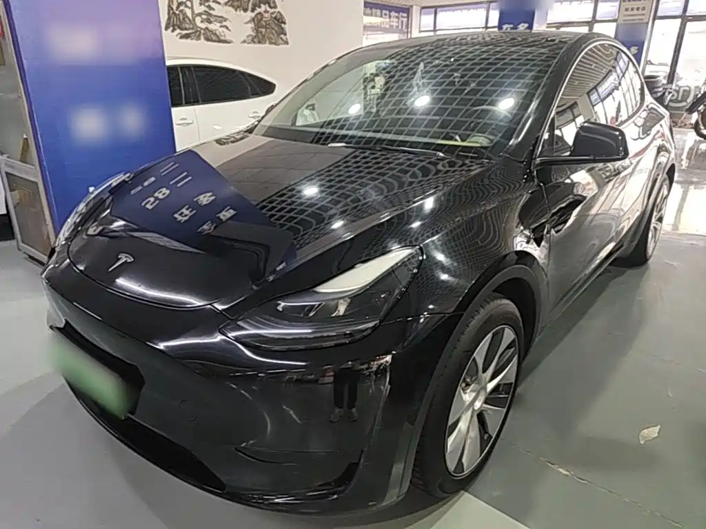 Tesla Model Y — миниатюра 2