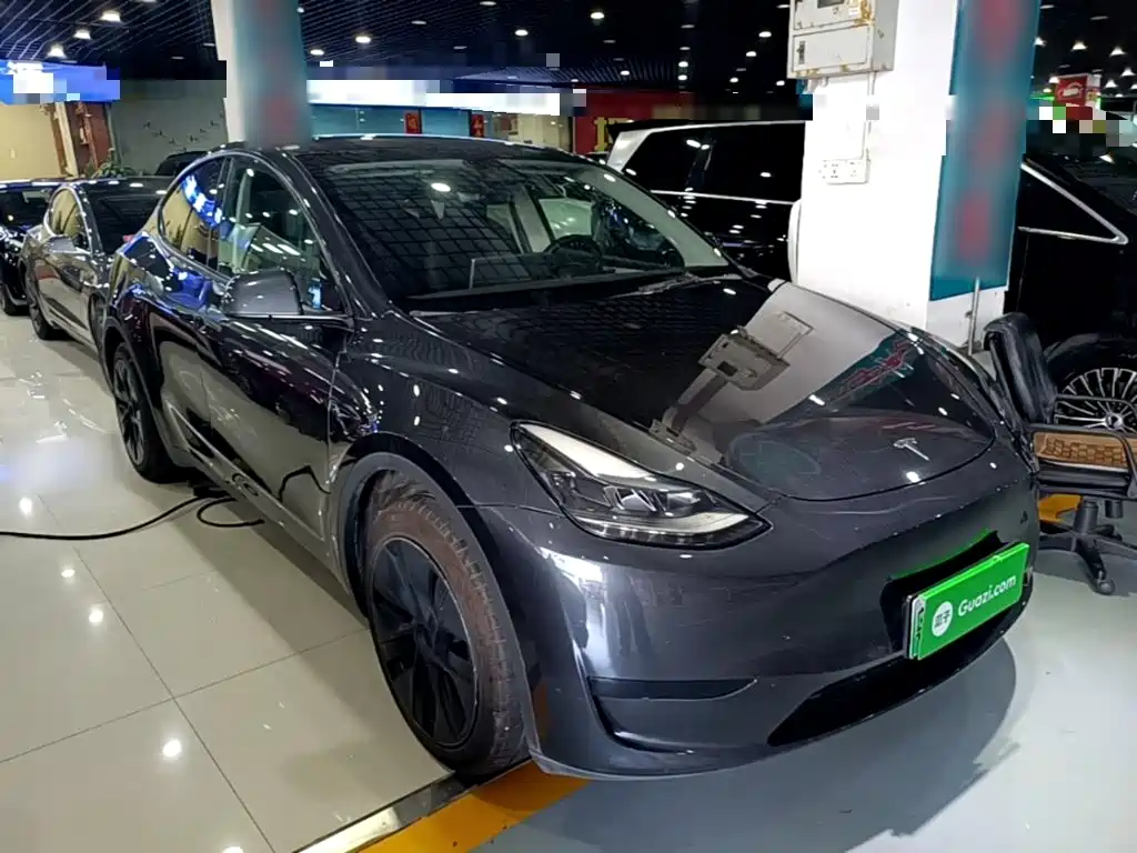 Tesla Model Y — миниатюра 4