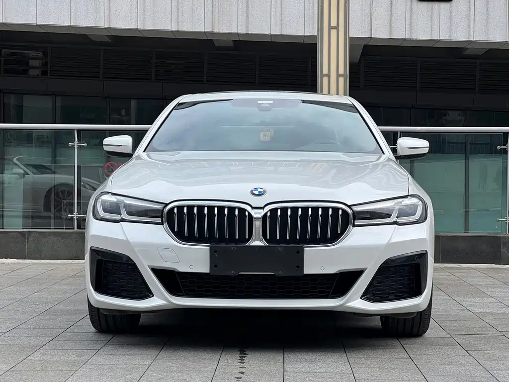 BMW 5 Series — миниатюра 2