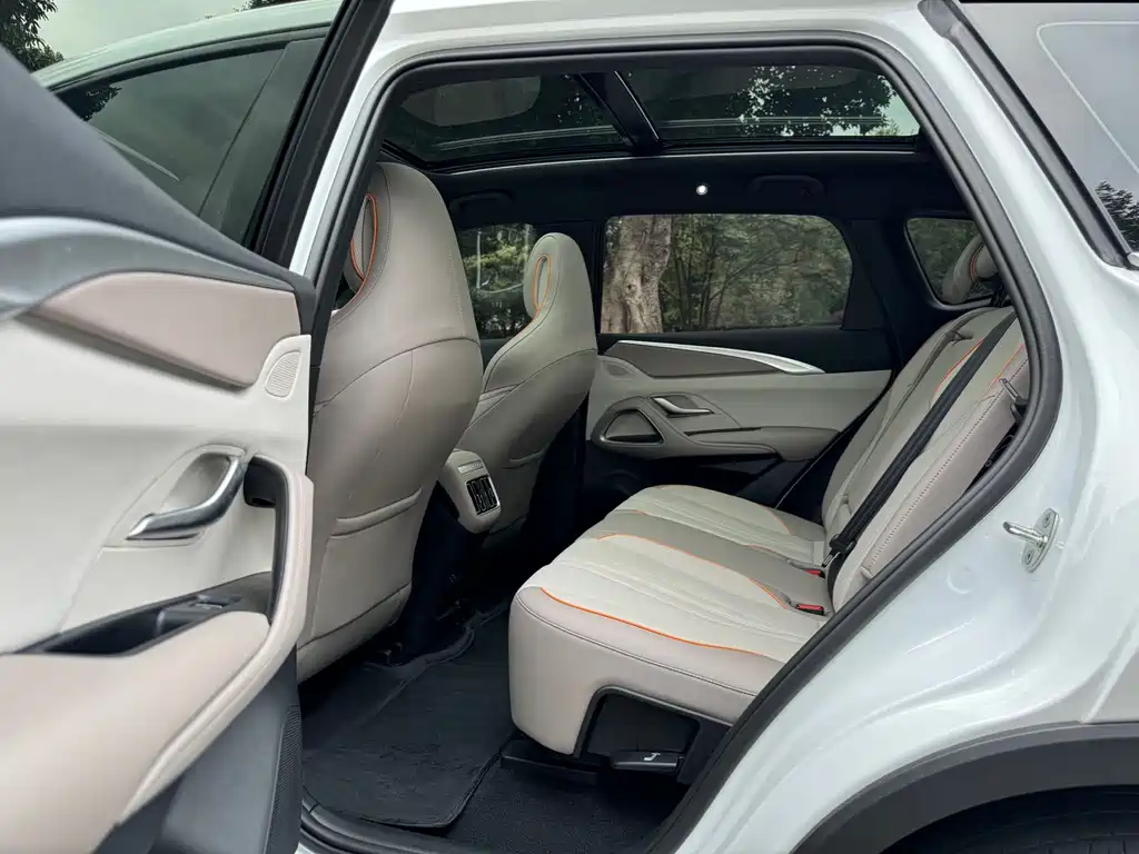 BYD Pro New Energy — миниатюра 9