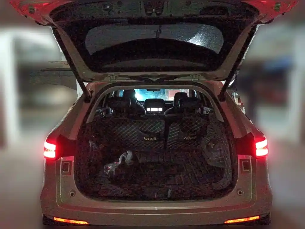 Haval Xiaolong MAX — миниатюра 10