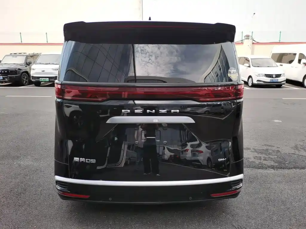 Denza Denza D9 — миниатюра 6