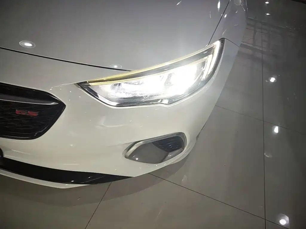 Buick Regal — миниатюра 24