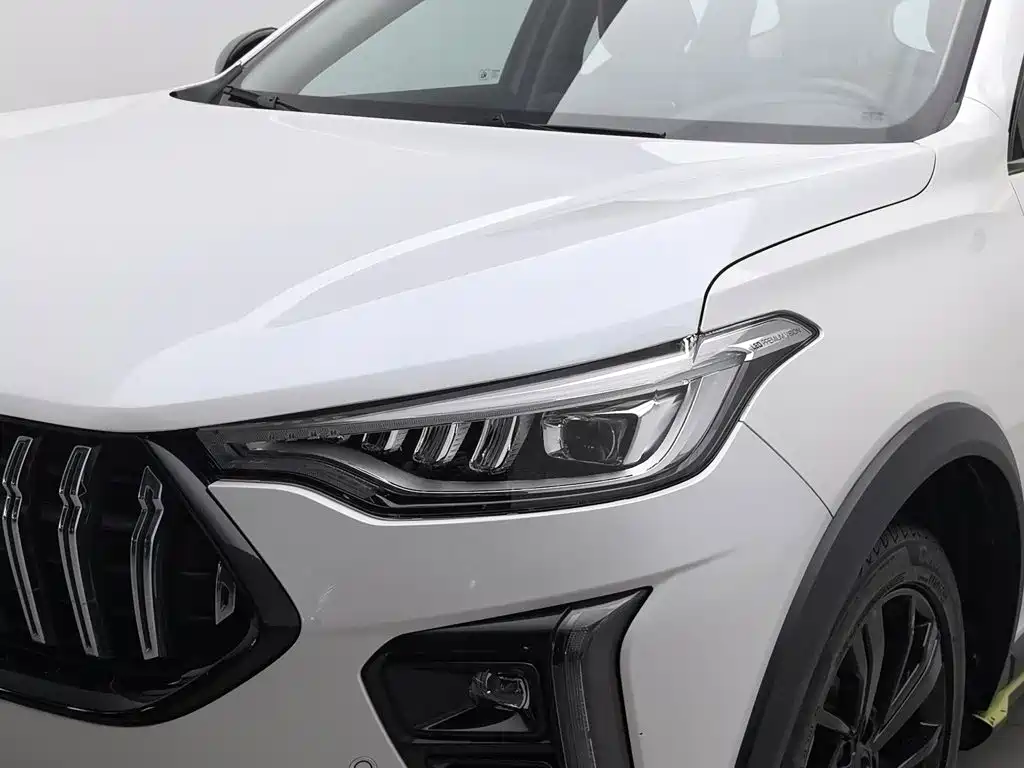 Haval Chitu — миниатюра 7