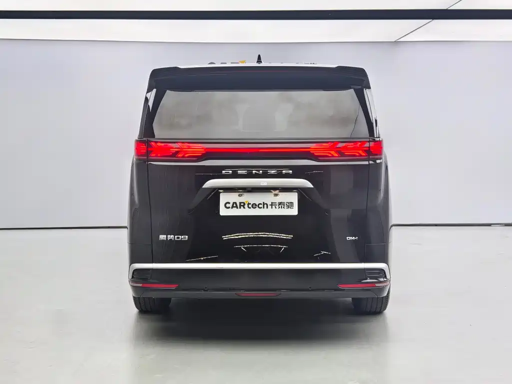 Denza Denza D9 — миниатюра 5