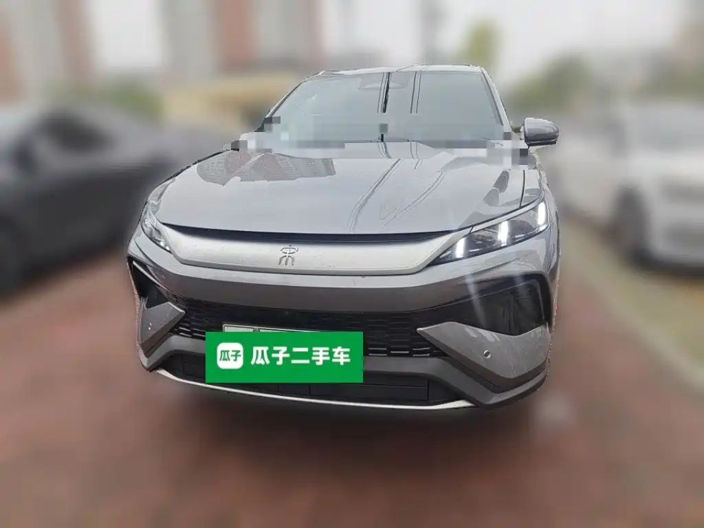 BYD Pro New Energy — миниатюра 2