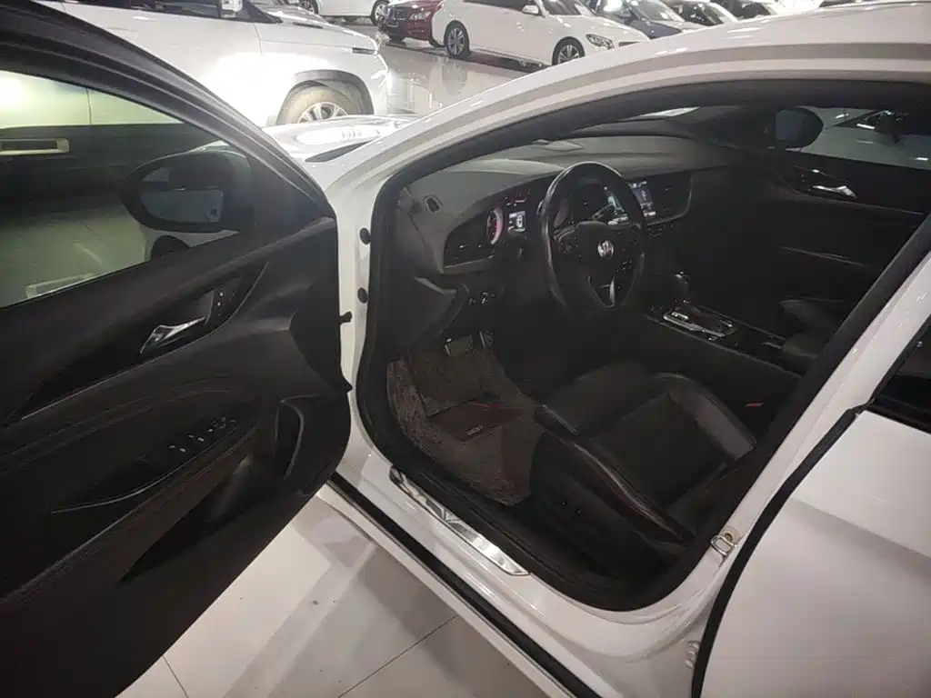 Buick Regal — миниатюра 16