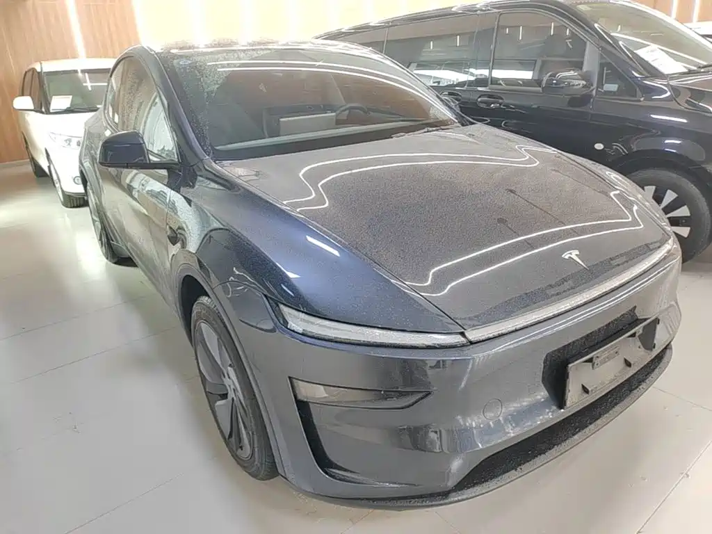 Tesla Model Y — миниатюра 4