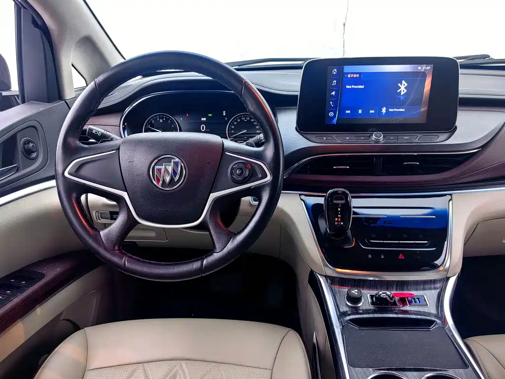 Buick GL8 — миниатюра 6