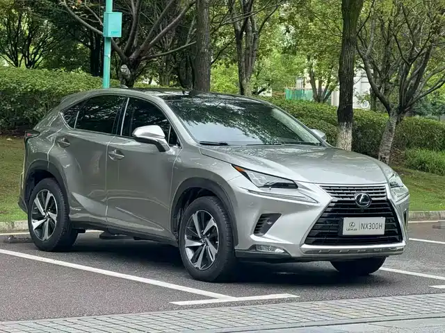 2020 Lexus NX