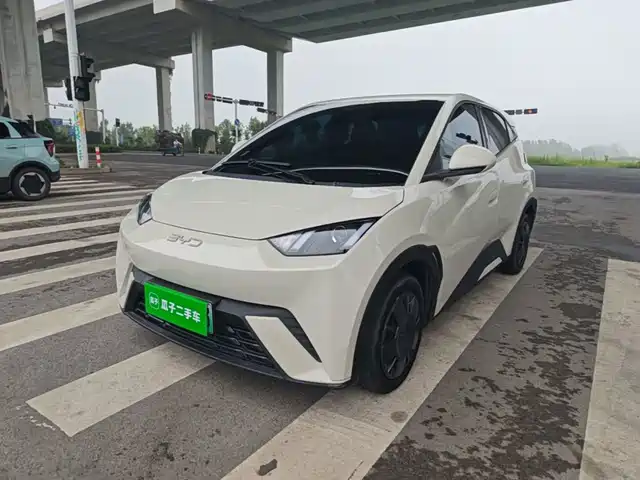 2025 BYD Seagull