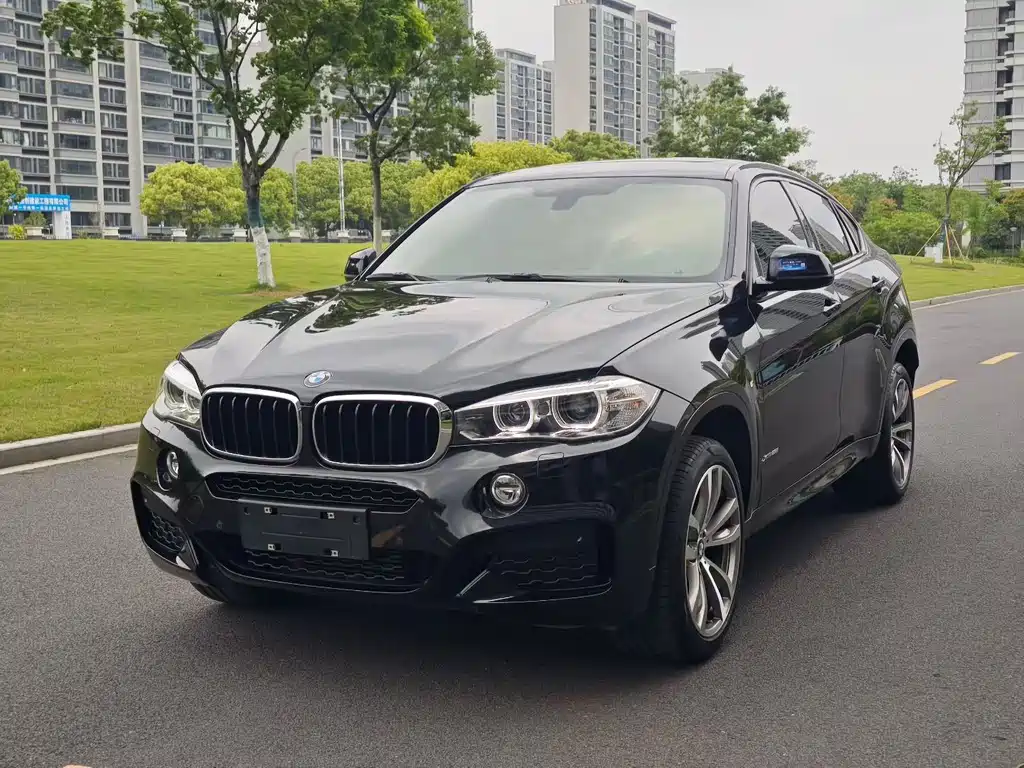 BMW X6 2019