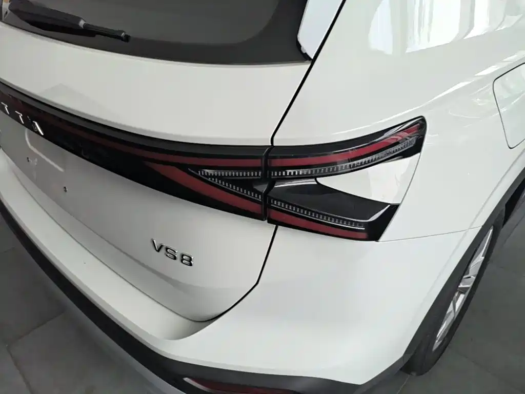 Jetta VS8 — миниатюра 8