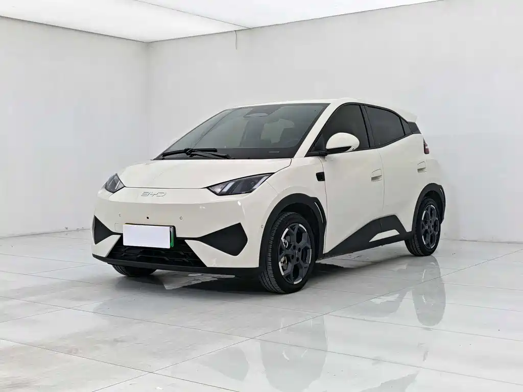 Byd Seagull 2025