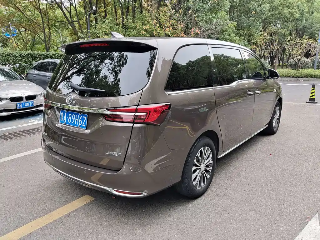 Buick GL8 — миниатюра 4
