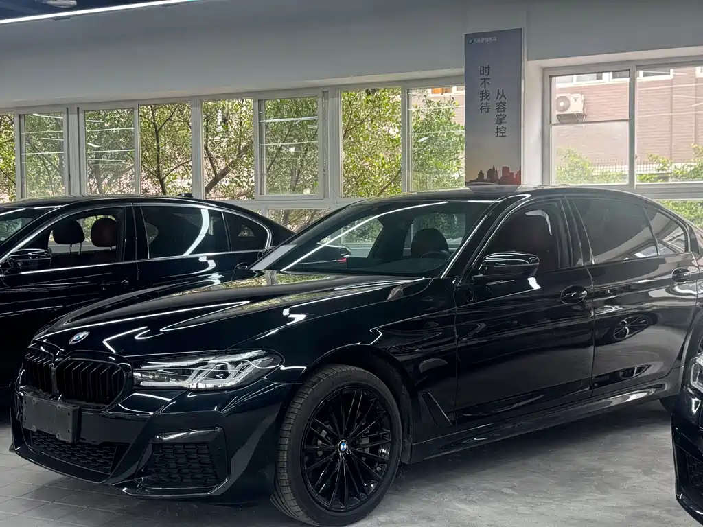 BMW 5 Series 2021