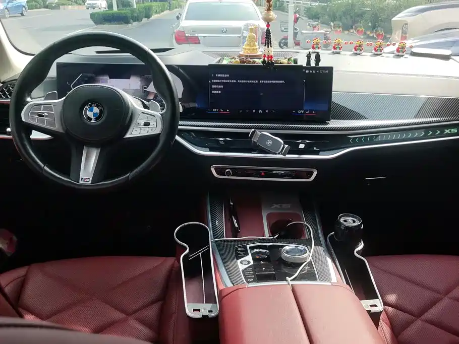 BMW X5 — миниатюра 12
