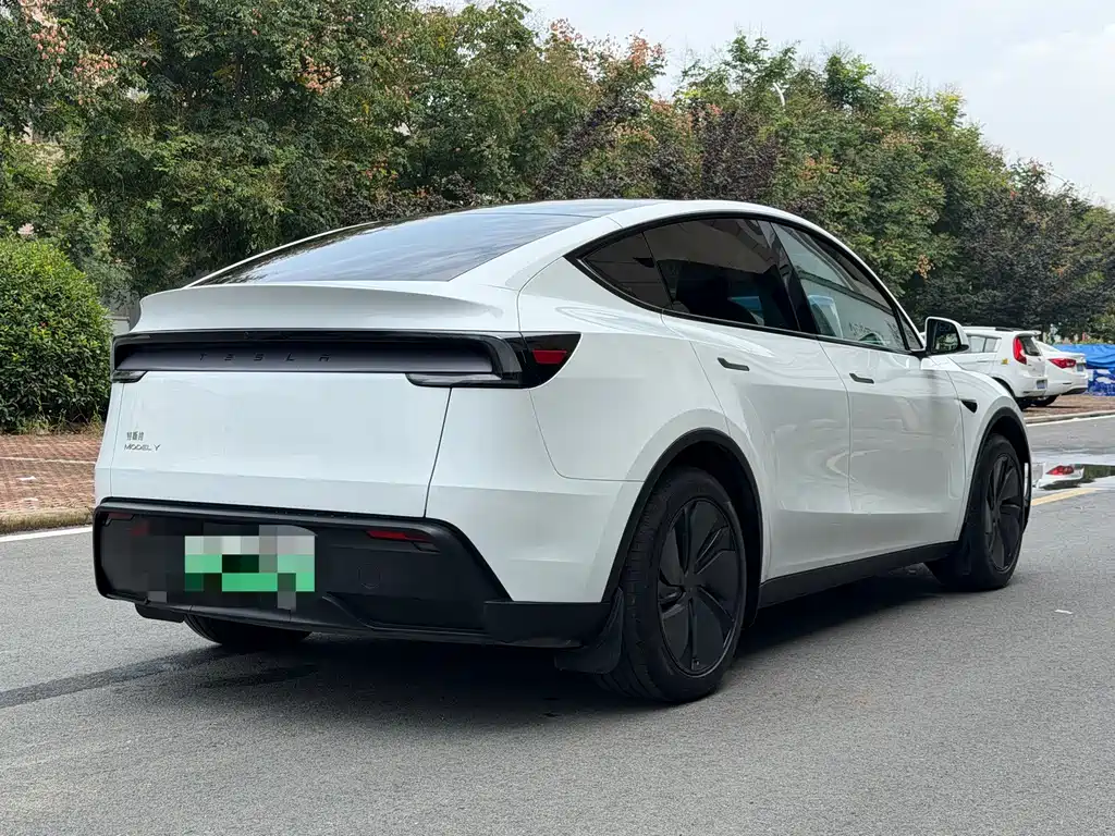 Tesla Model Y — миниатюра 13