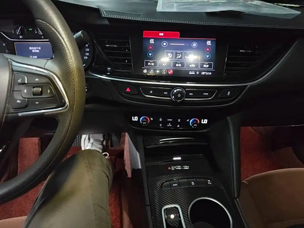 Buick Regal — миниатюра 13