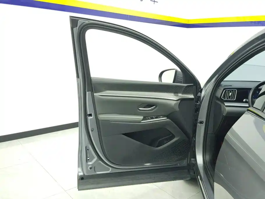 BYD Pro New Energy — миниатюра 7
