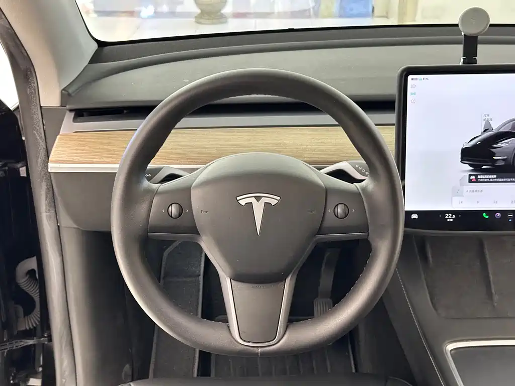 Tesla Model Y — миниатюра 16