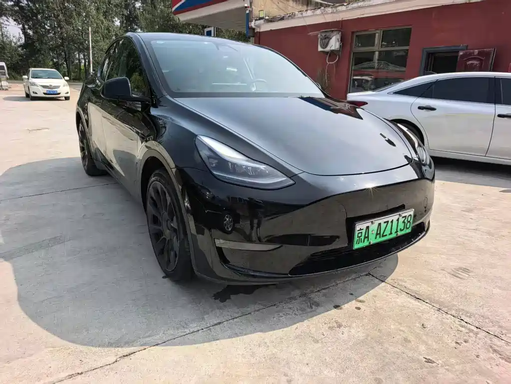 Tesla Model Y — миниатюра 2