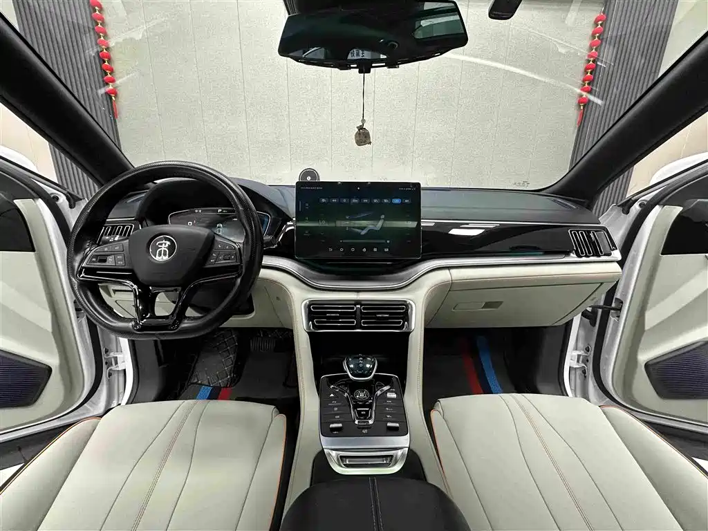 BYD PLUS New Energy — миниатюра 9