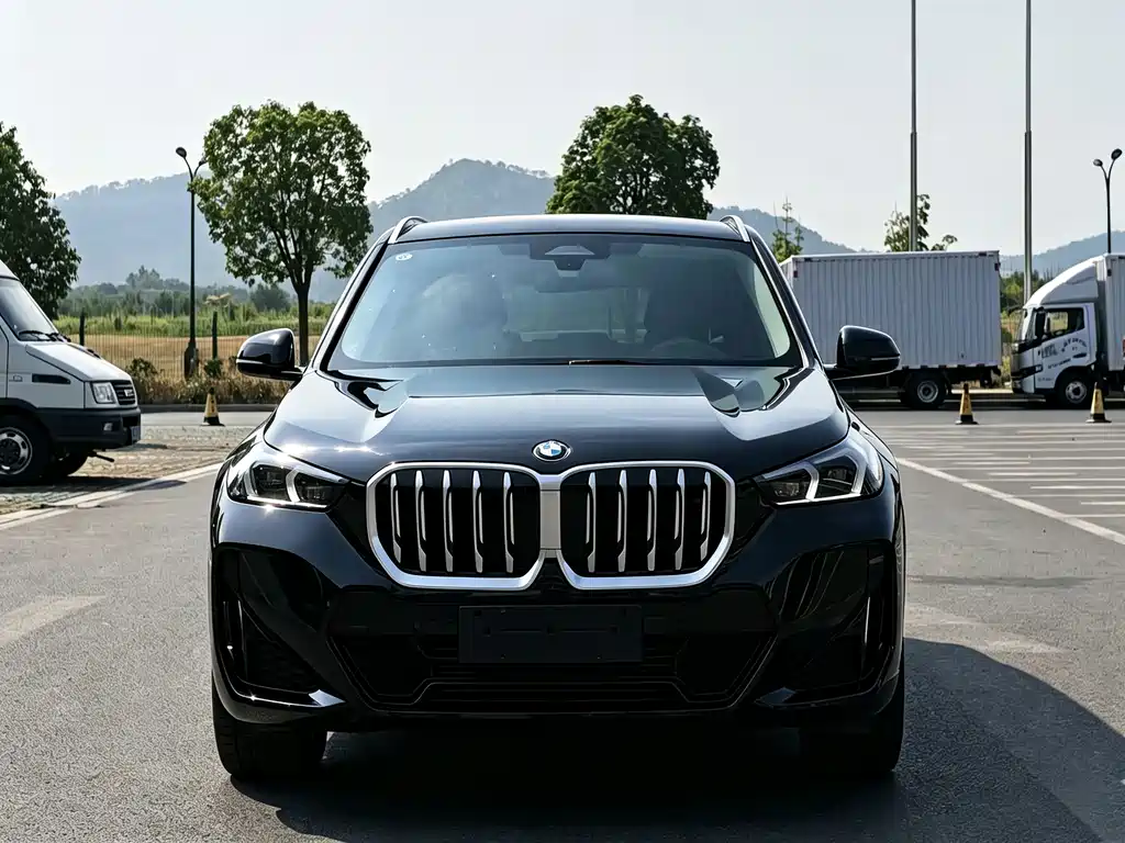 BMW X1 — миниатюра 2