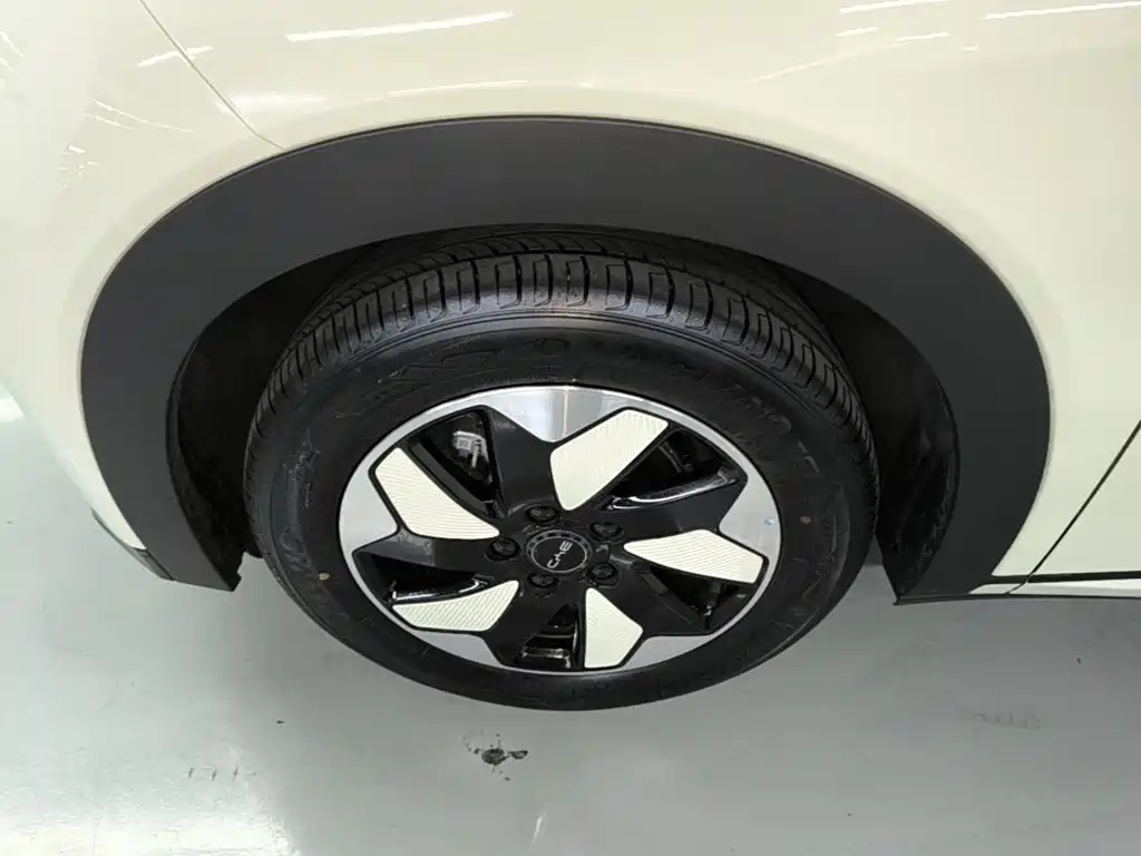 BYD Dolphin — миниатюра 23