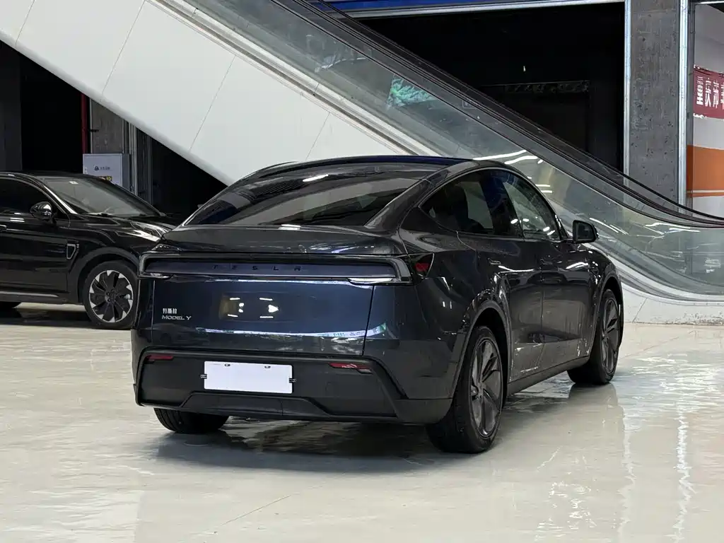 Tesla Model Y — миниатюра 5