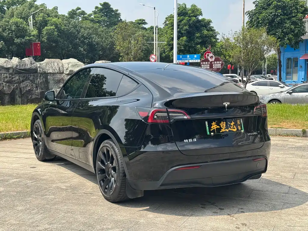 Tesla Model Y — миниатюра 4