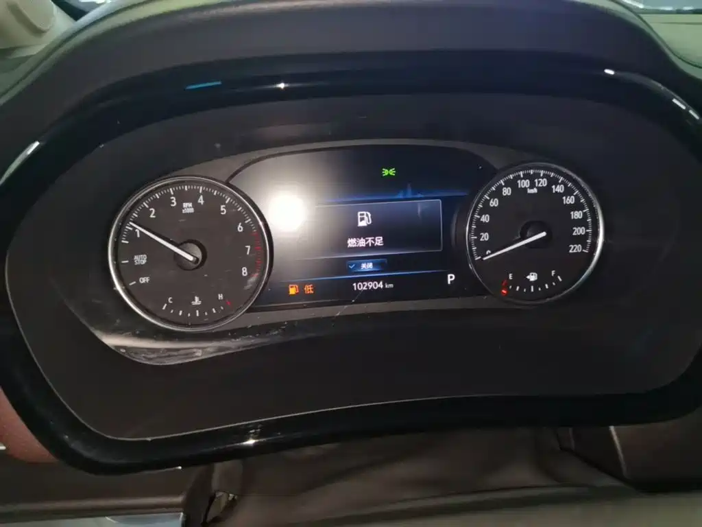 Buick GL8 — миниатюра 12