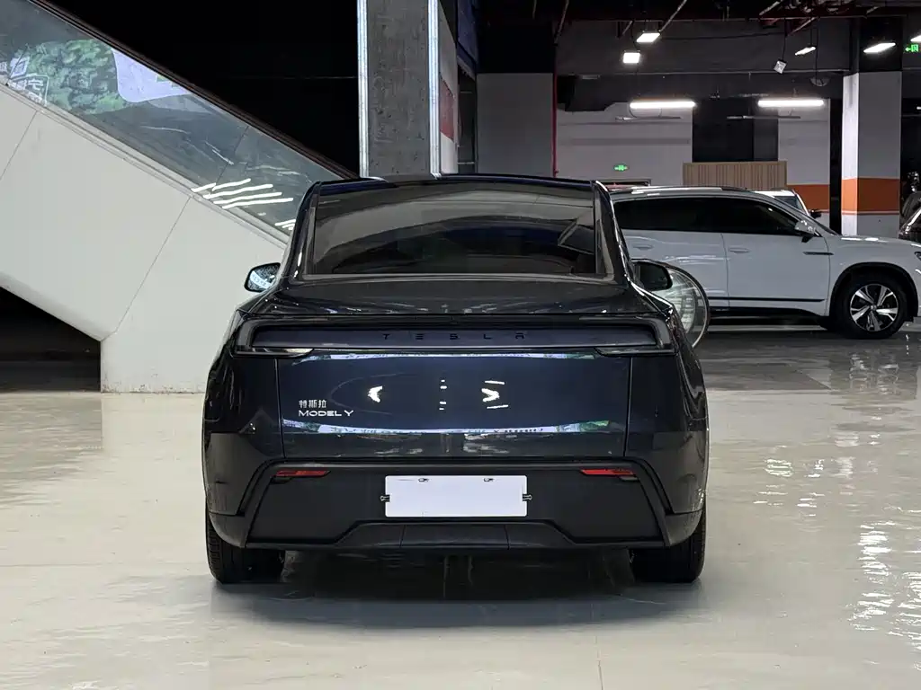 Tesla Model Y — миниатюра 6