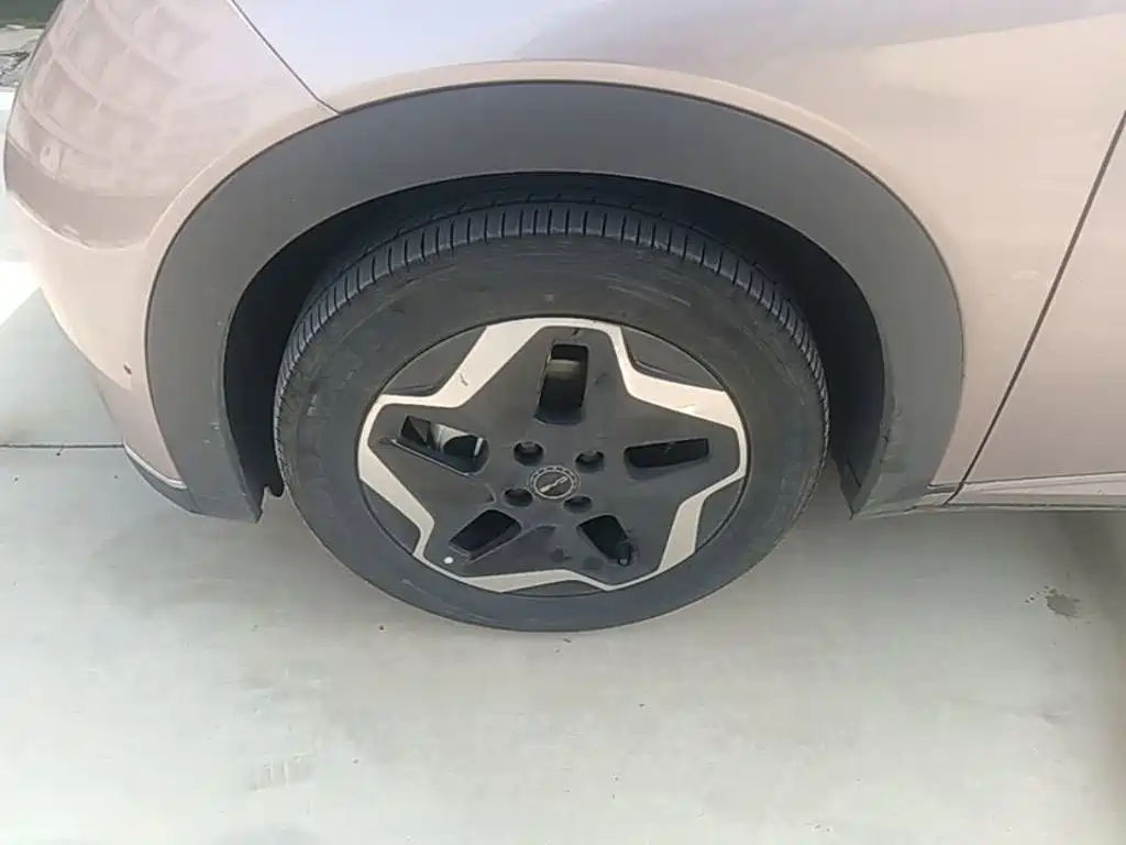 BYD Dolphin — миниатюра 23