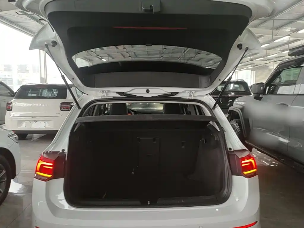 Volkswagen Golf — миниатюра 19