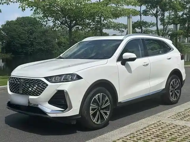 WEI PAI WEI BRAND LATTE DHT 2021