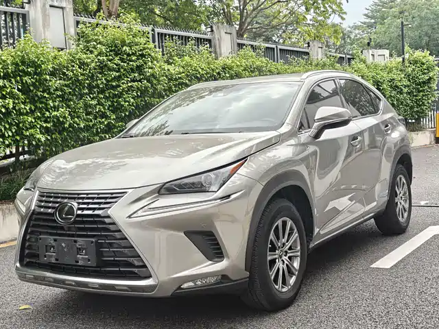 2019 Lexus NX