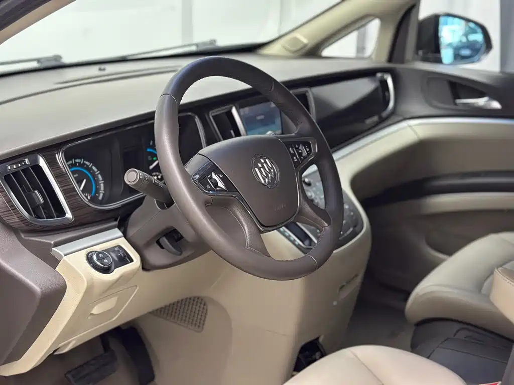 Buick GL8 — миниатюра 15