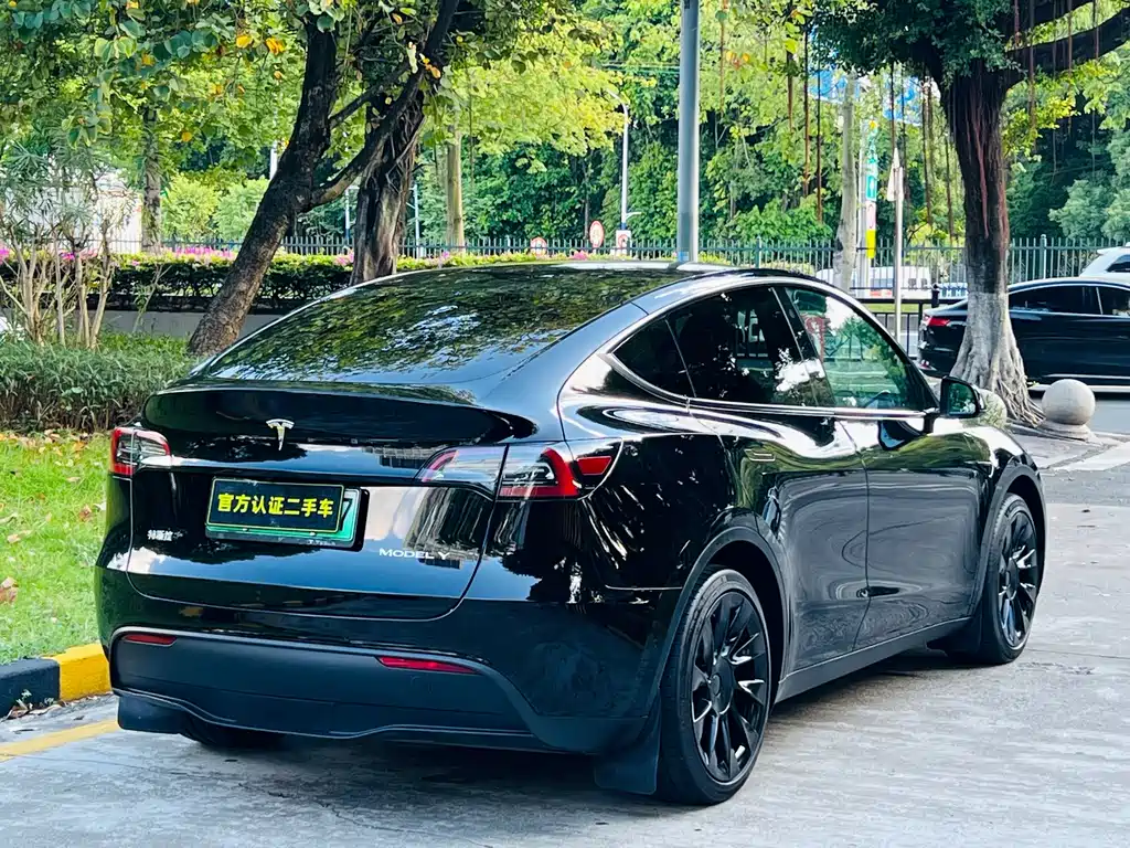 Tesla Model Y — миниатюра 4