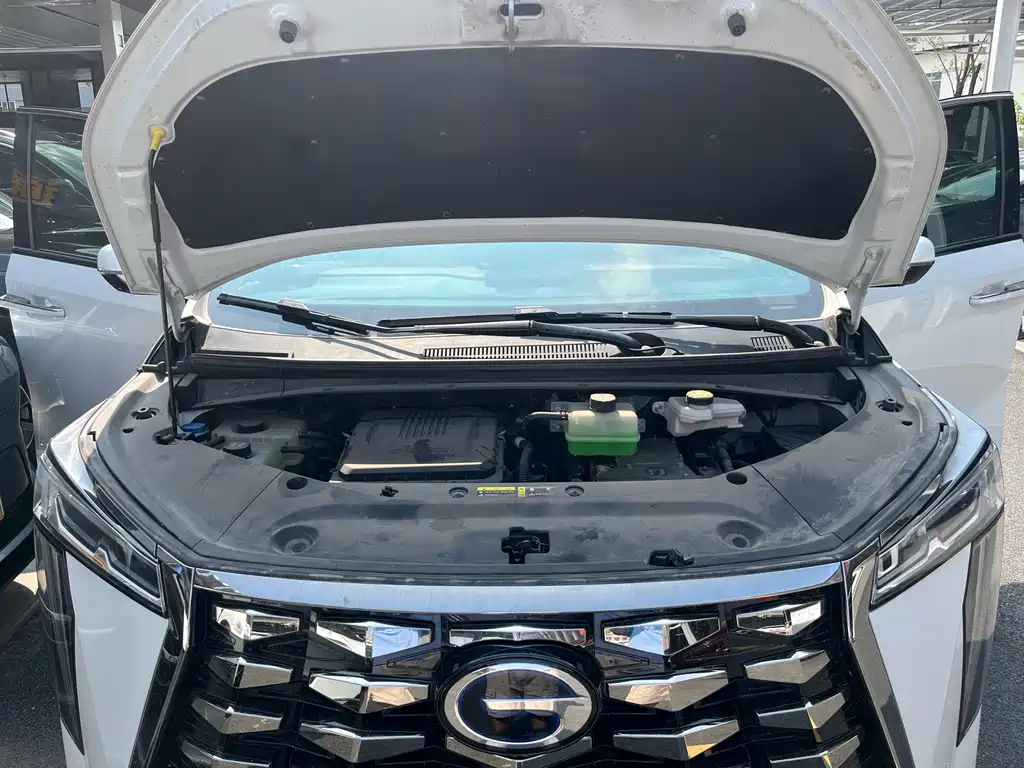 GAC Motor Trumpchi Xiangwang M8 — миниатюра 25