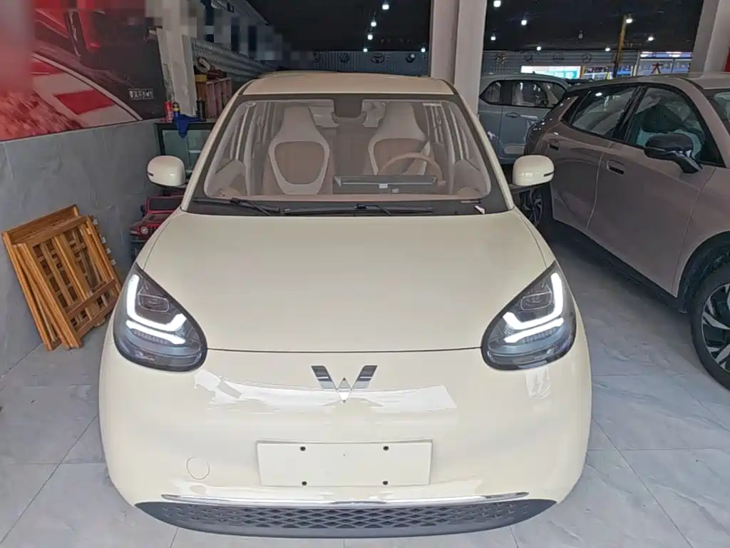 Wuling Binguo 2025 333km Enjoy