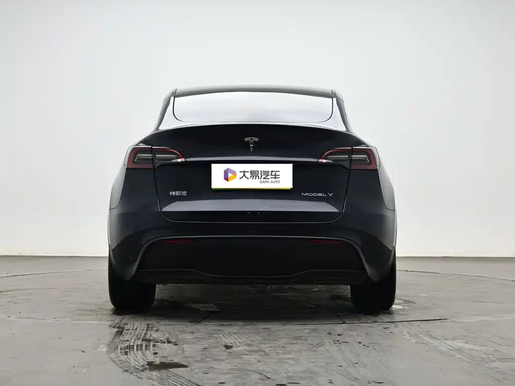 Tesla Model Y — миниатюра 4
