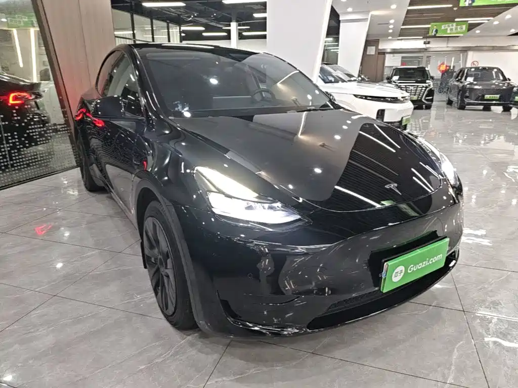 Tesla Model Y — миниатюра 4