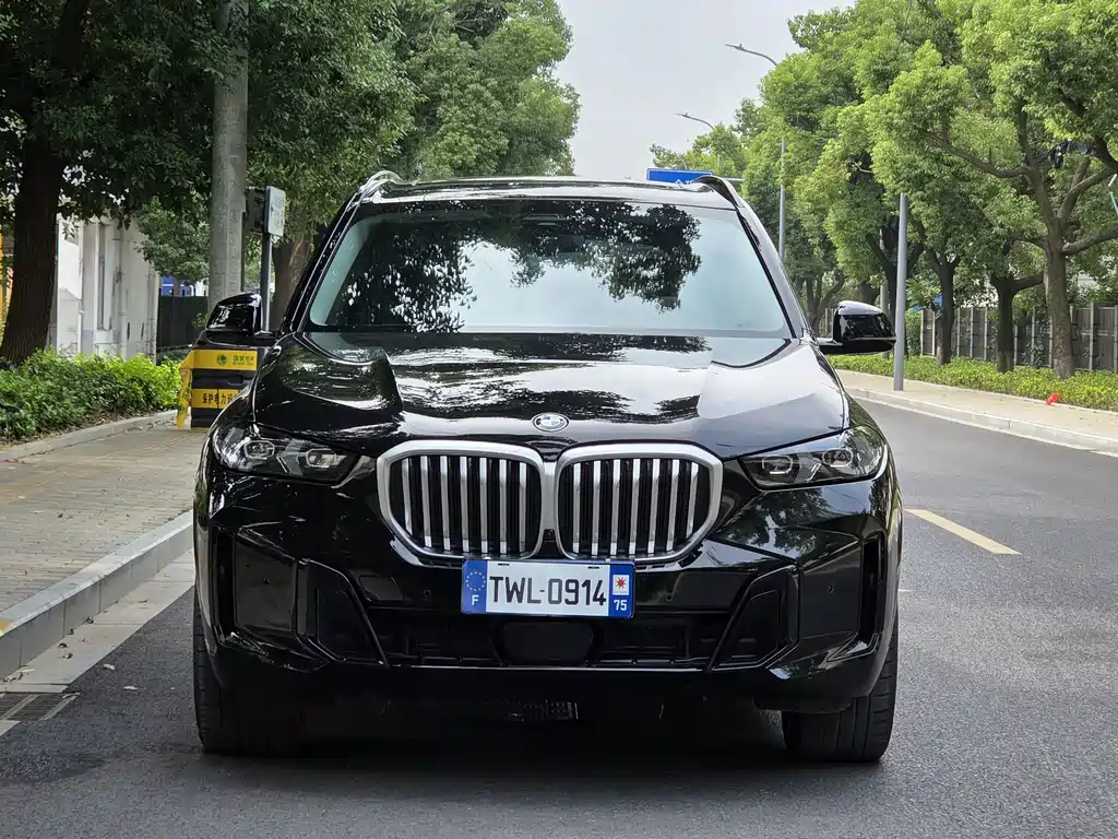 BMW X5 — миниатюра 2