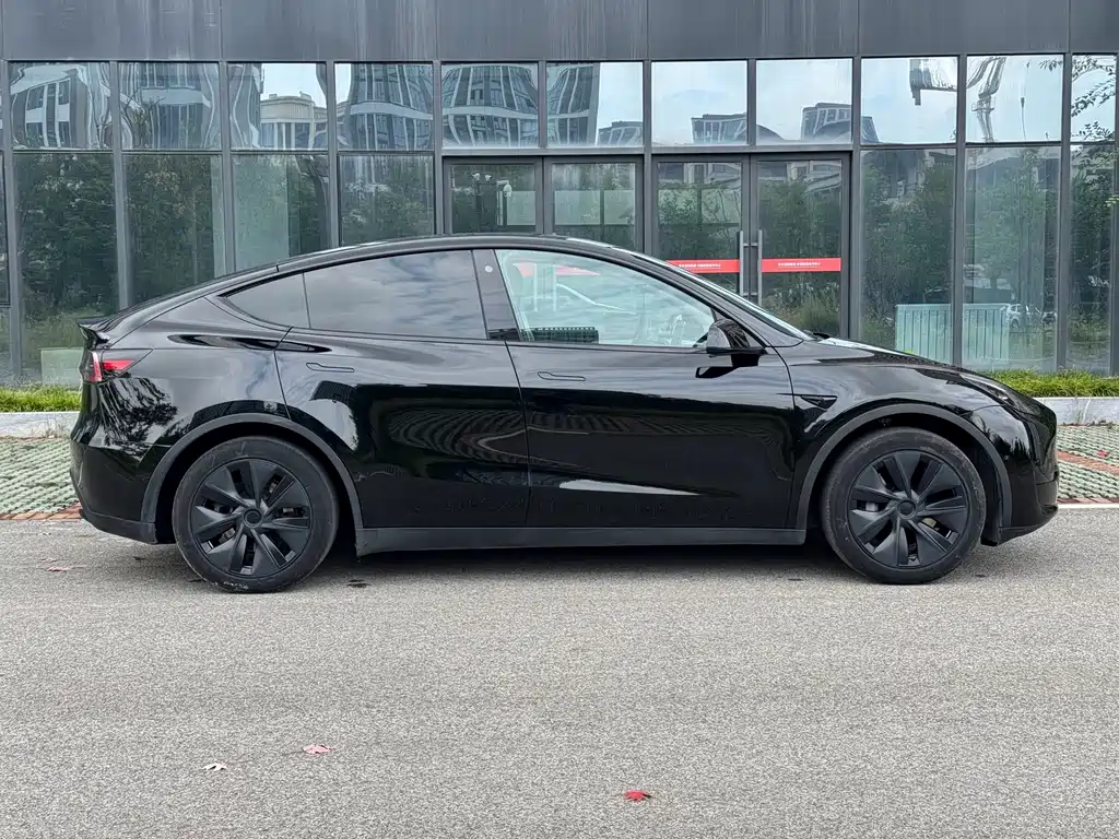 Tesla Model Y — миниатюра 8