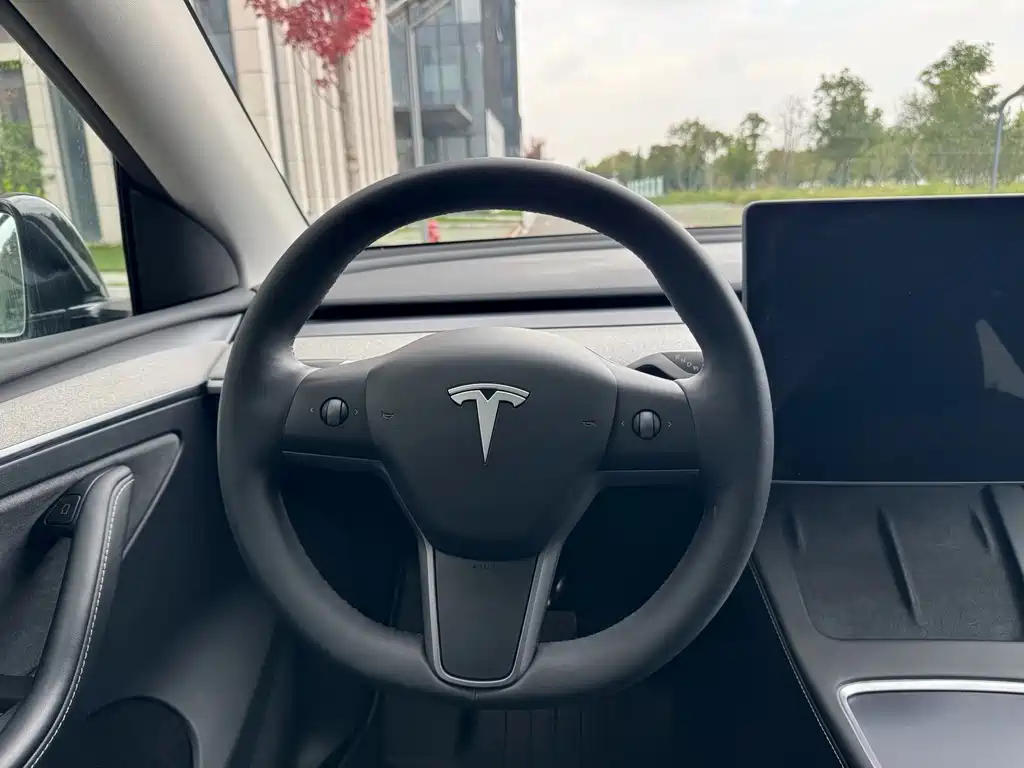 Tesla Model Y — миниатюра 17