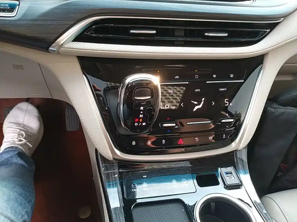 Buick GL8 — миниатюра 14